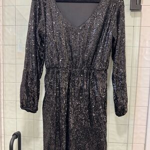 Express Black Sequin Long Sleeve Dress